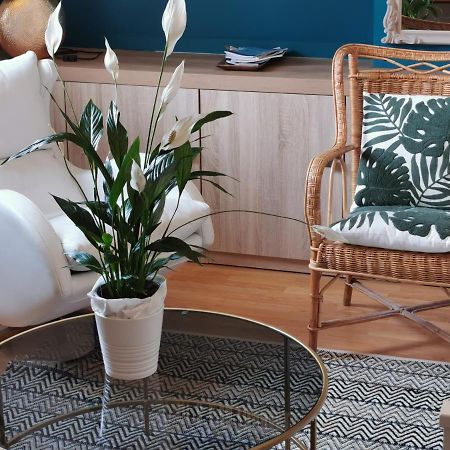Magnifique Deux Pieces Au Calme Apartment Deauville Bagian luar foto